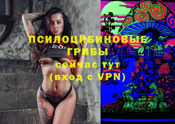 экстази Новодвинск